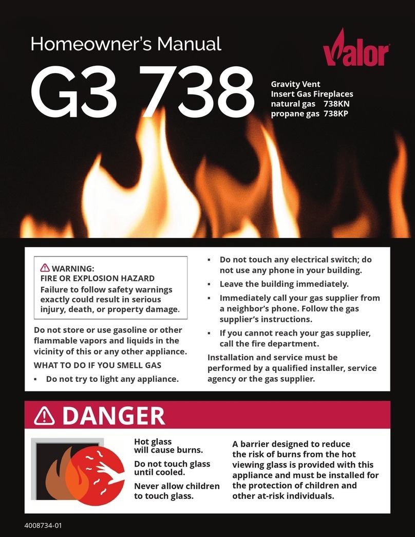 Valor Legend G3 738 NGK User manual