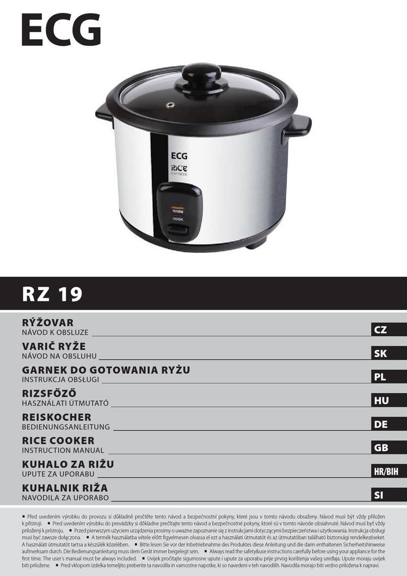 ECG RZ 19 instruction manual