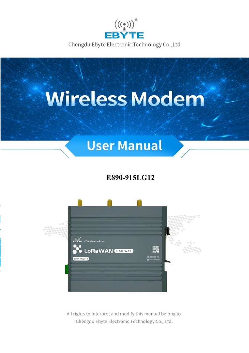 Ebyte E890-915LG12 User manual