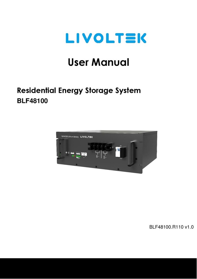 LIVOLTEK BLF48100 user manual