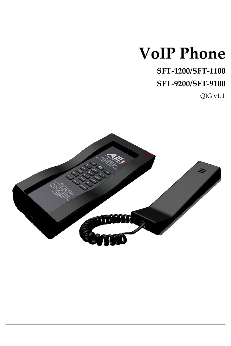 AEI SFT- 1200 User manual