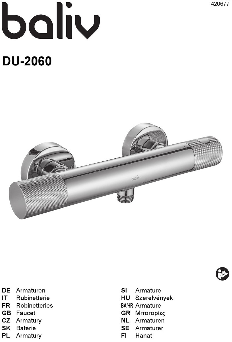 baliv DU-2060 manual
