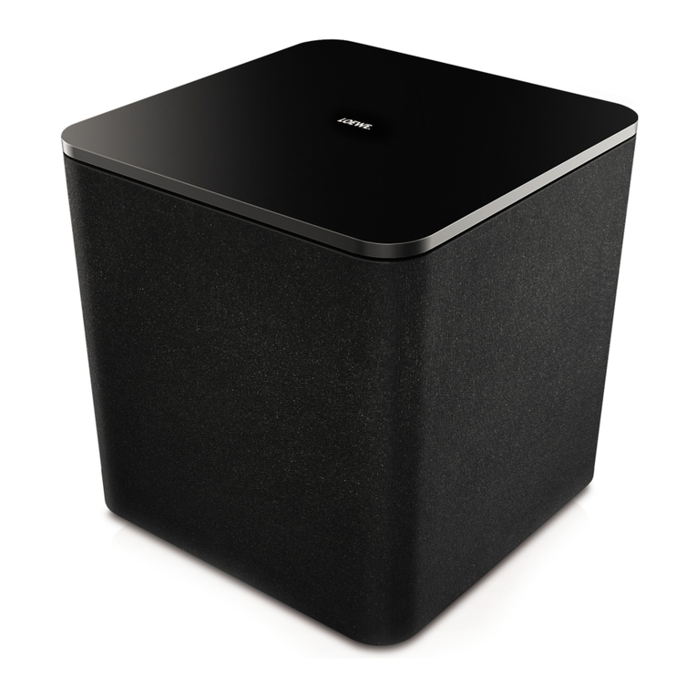Loewe Subwoofer 300 user manual