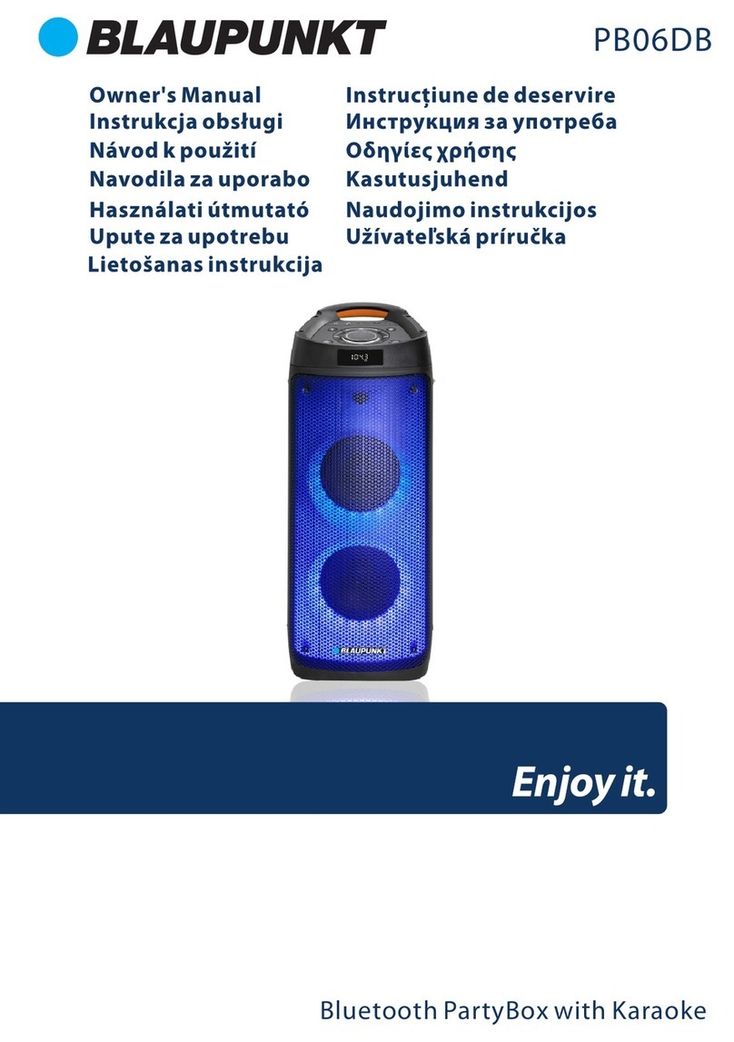Blaupunkt PB06DB User manual