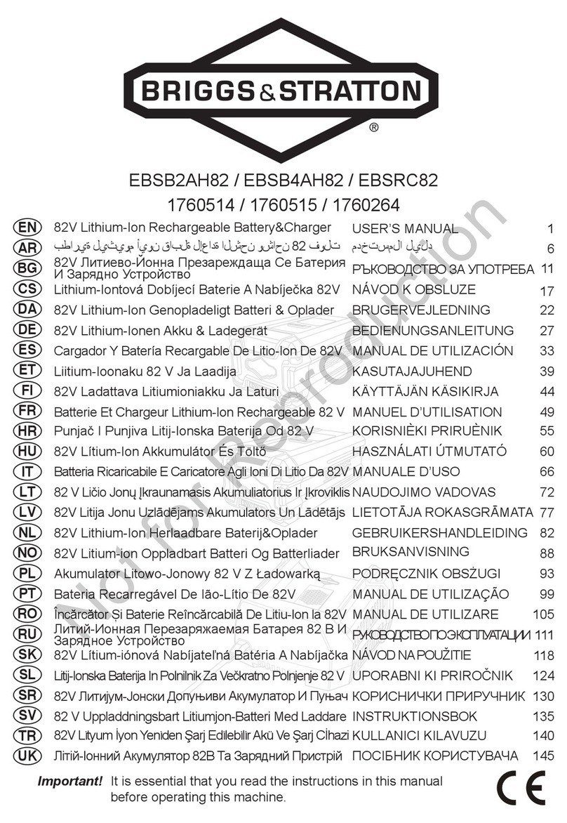 Briggs & Stratton EBSB4AH82 user manual