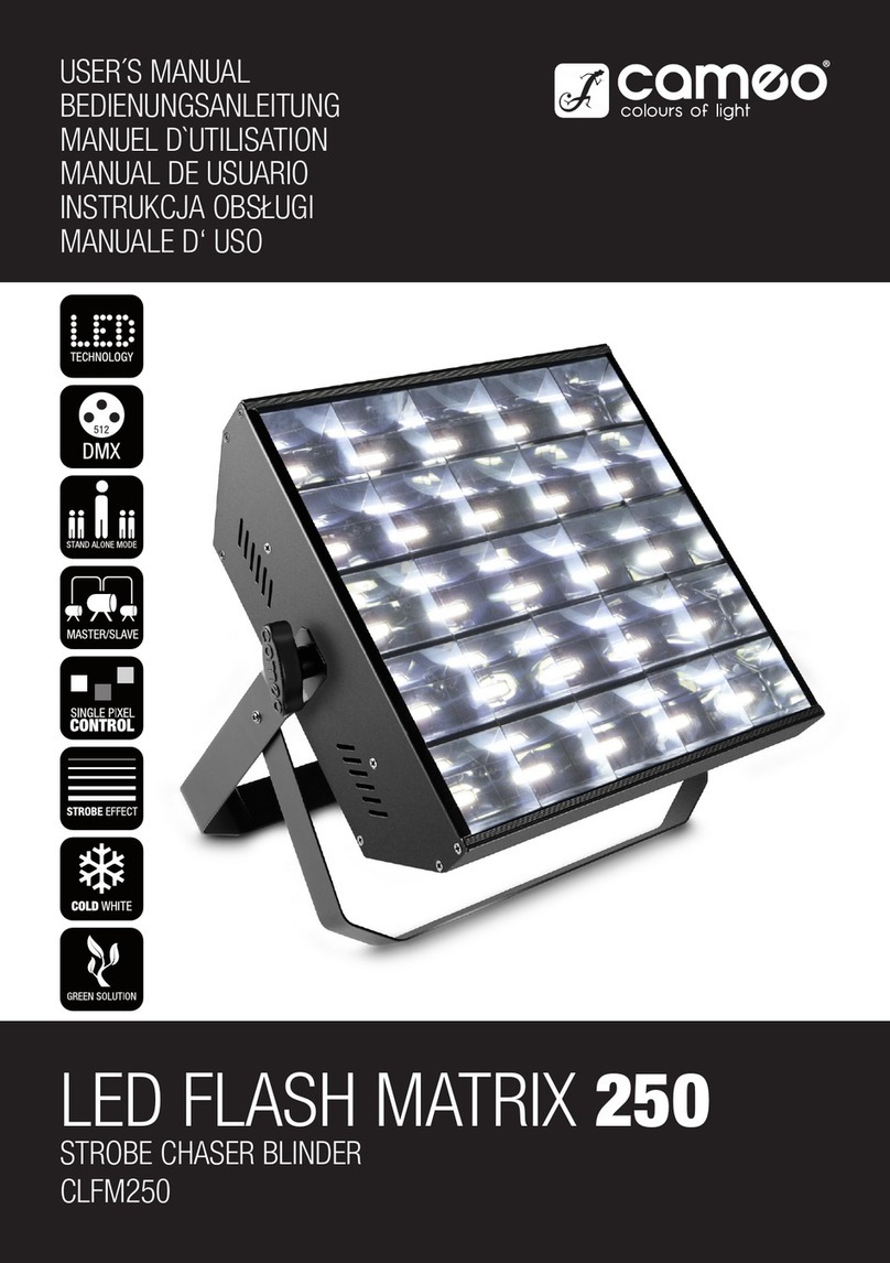 Cameo LED FLASH MATRIX 250 User manual