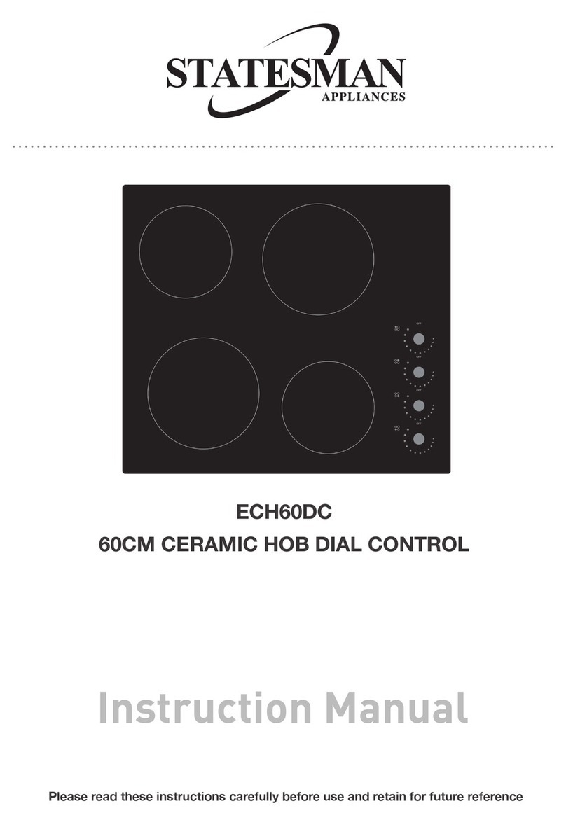 STATESMAN ECH60DC User manual STATESMAN ECH60DC User manual