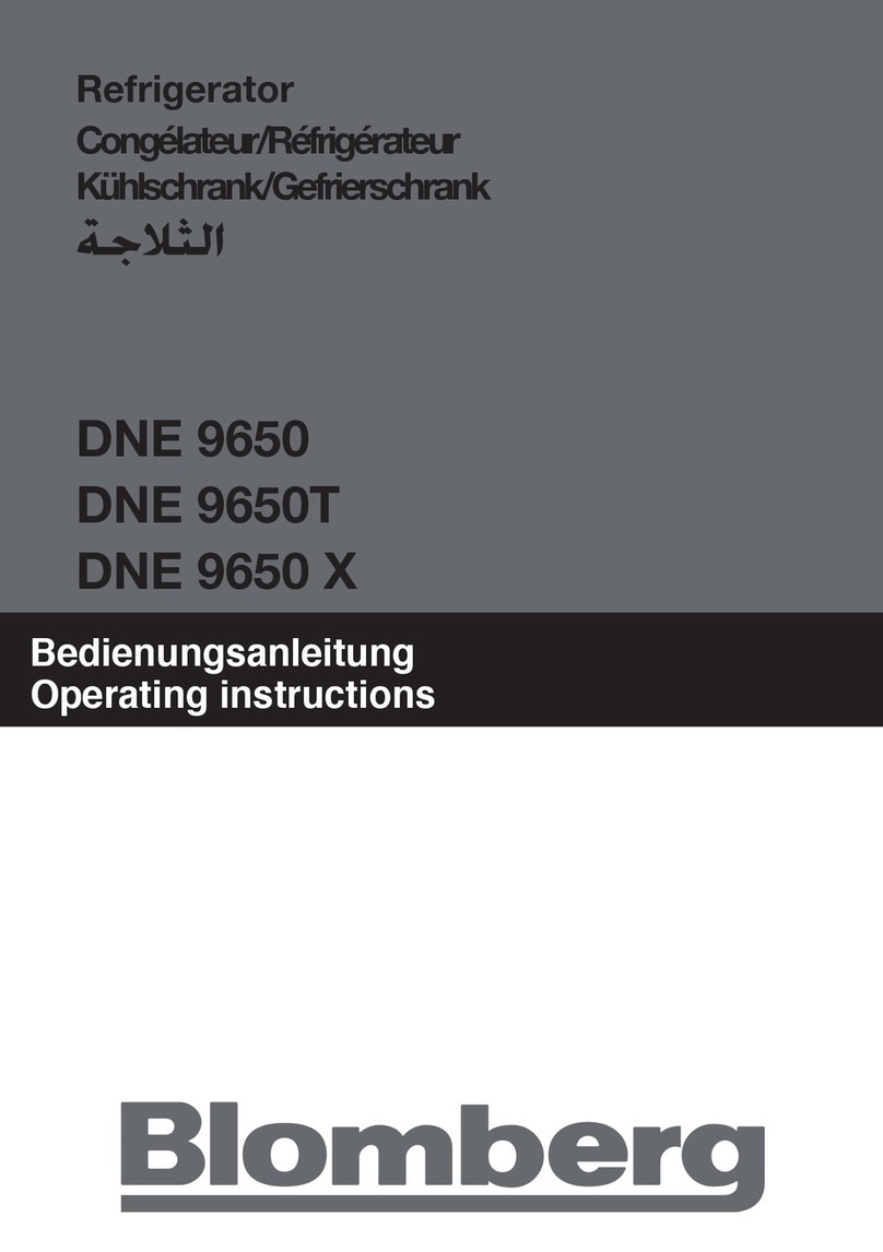 Blomberg DNE 9650T User manual