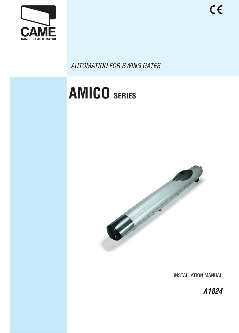 CAME AMICO Series User manual