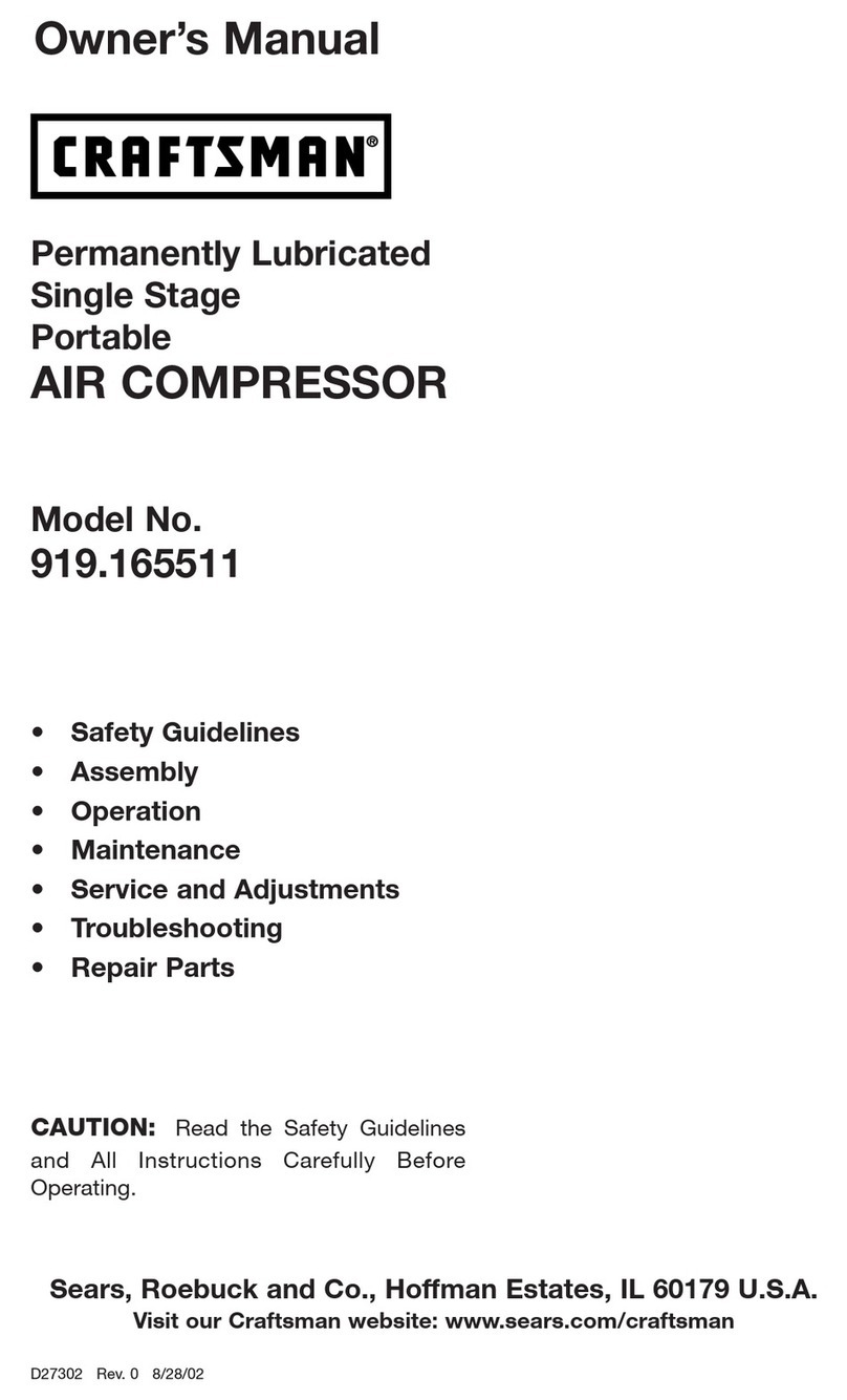 Craftsman 919.165511 User manual