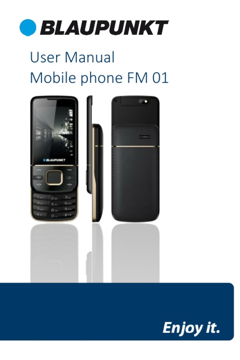 Blaupunkt FM 01 User manual