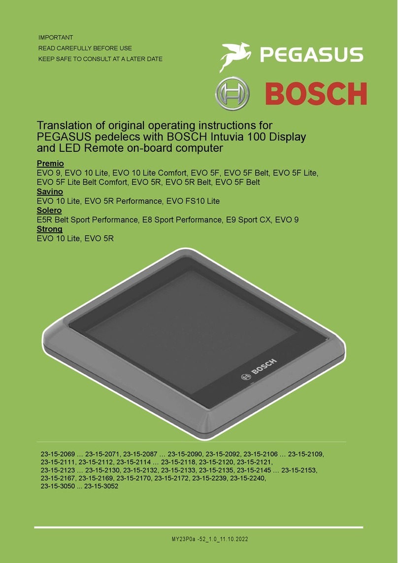 Bosch Intuvia 100 Wiring diagram