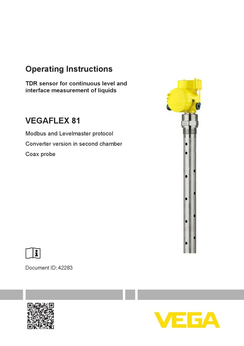 Vega VEGAFLEX 81 User manual