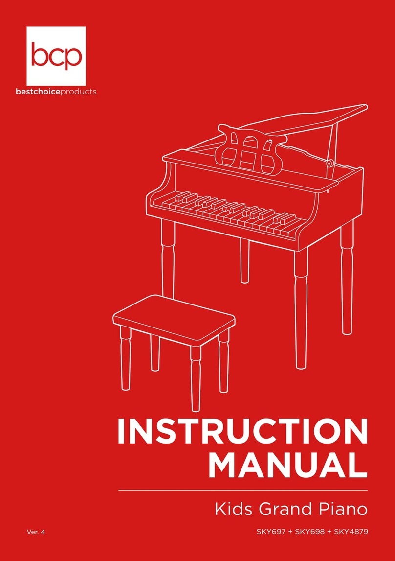 BCP SKY4879 instruction manual