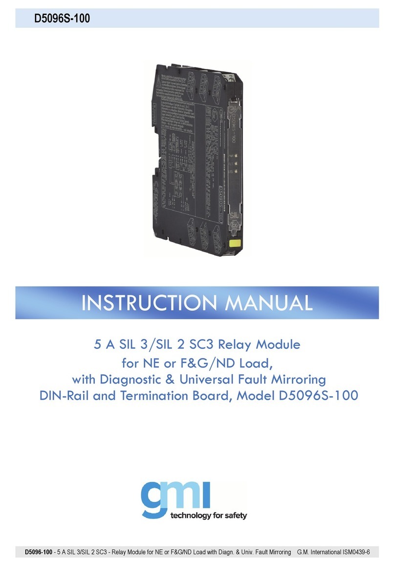 GMI D5096S-100 instruction manual