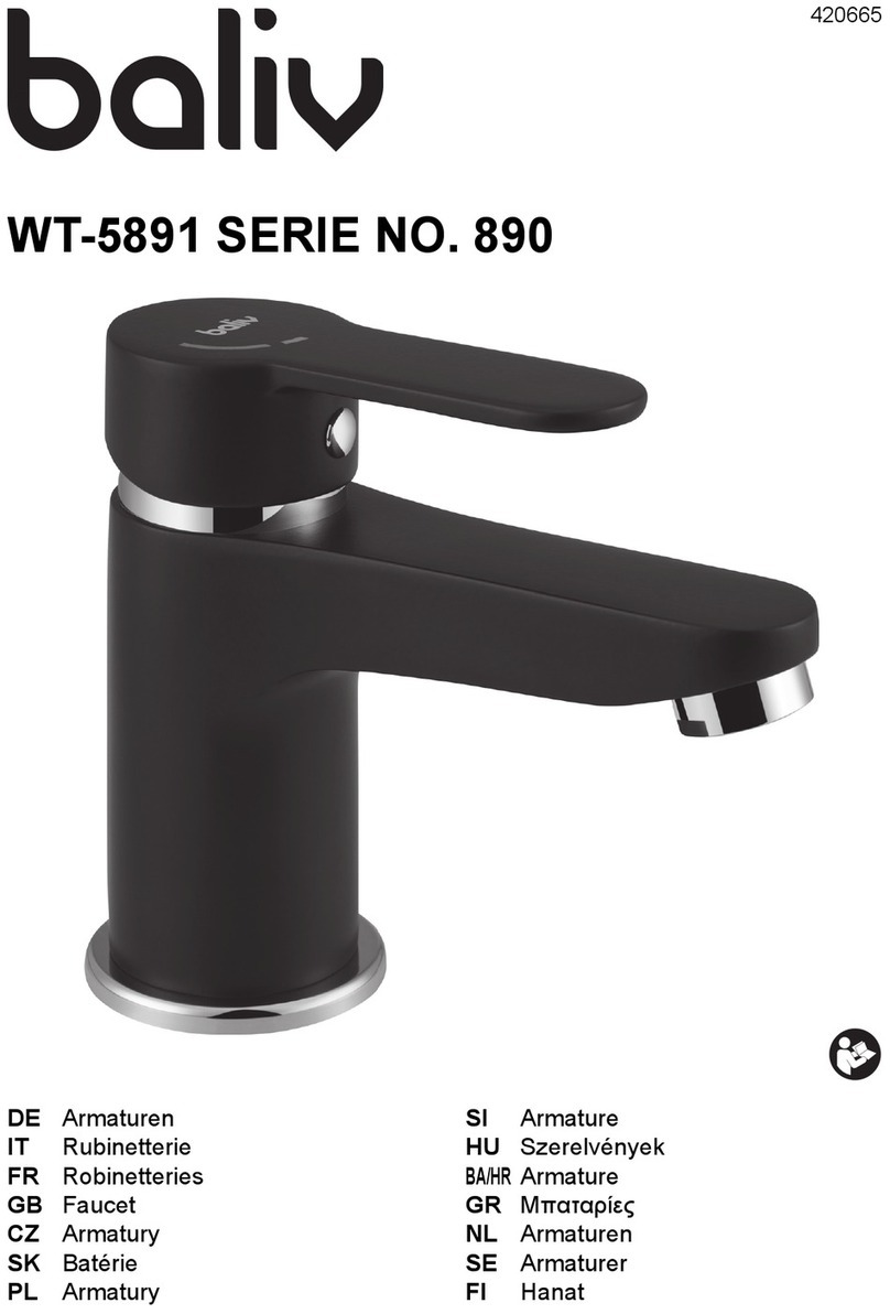 baliv WT-5891 Series manual