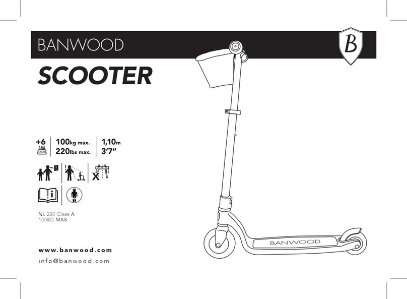 BANWOOD Maxi manual