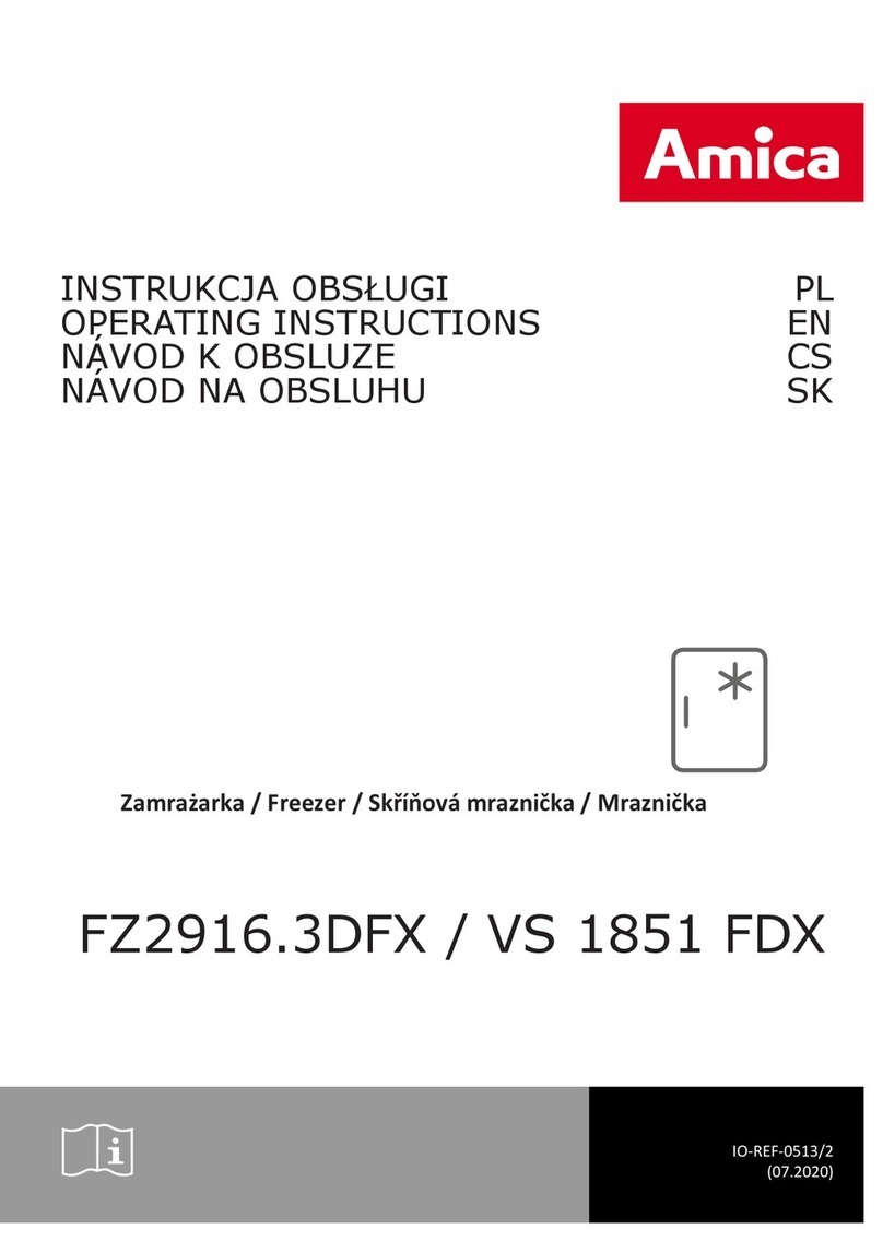 Amica FZ2916.3DFX User manual