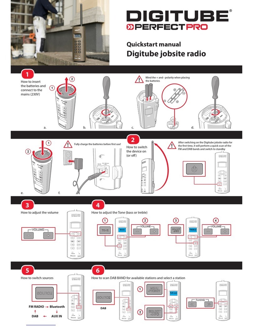 Digitube Perfect Pro quick start guide