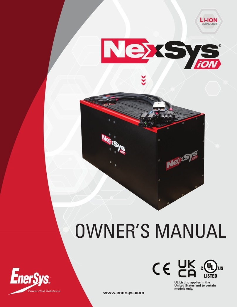 EnerSys NexSys iON User manual