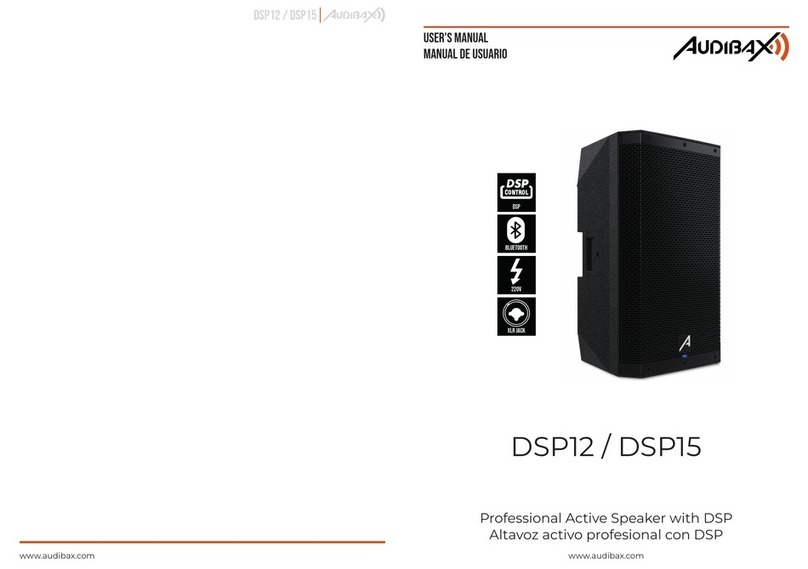 Audibax DSP12 user manual