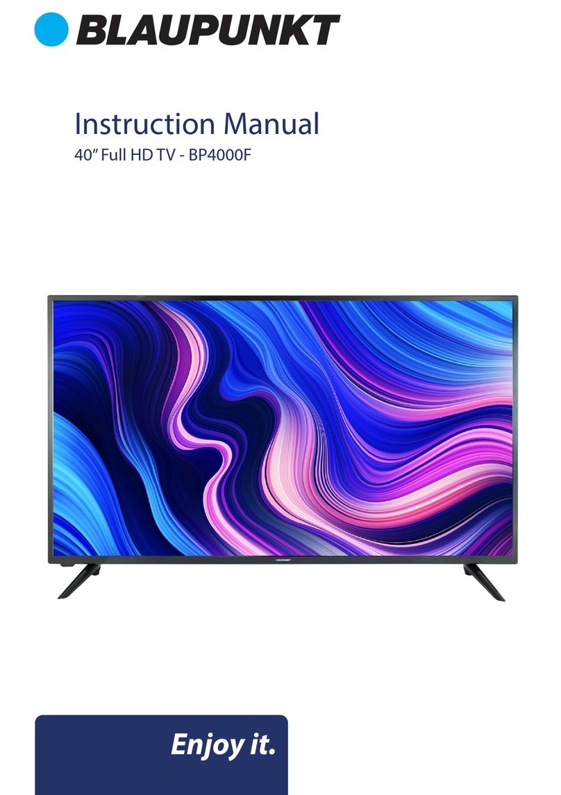 Blaupunkt BP4000F User manual