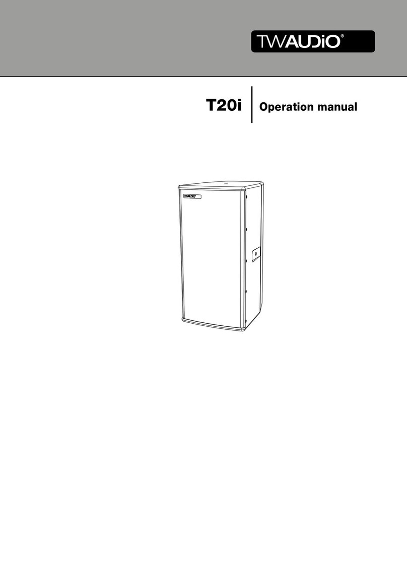 TW Audio T20i User manual TW Audio T20i User manual