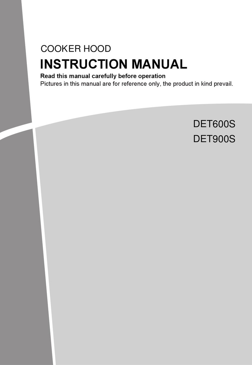 chromagen DET600S instruction manual