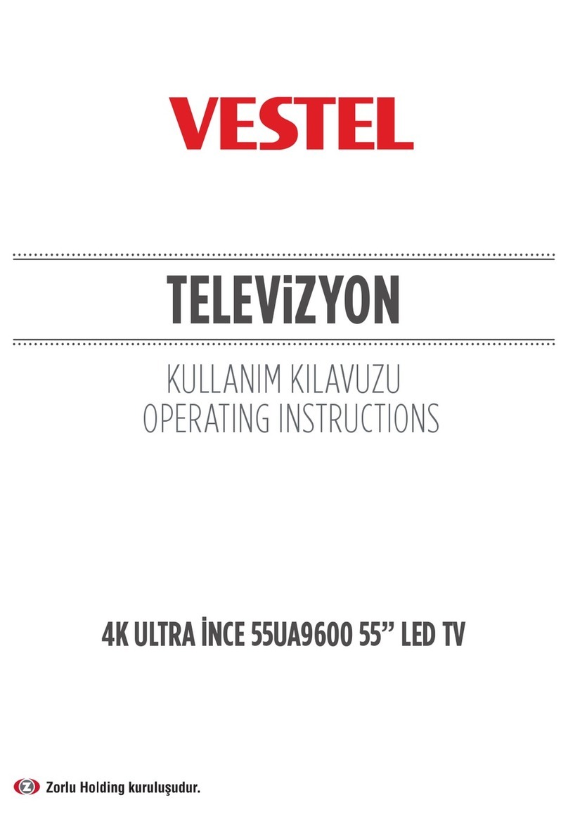 VESTEL 55UA9600 User manual