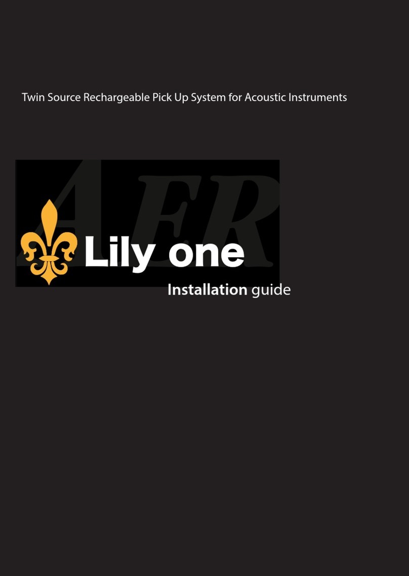 AER Lily one User manual