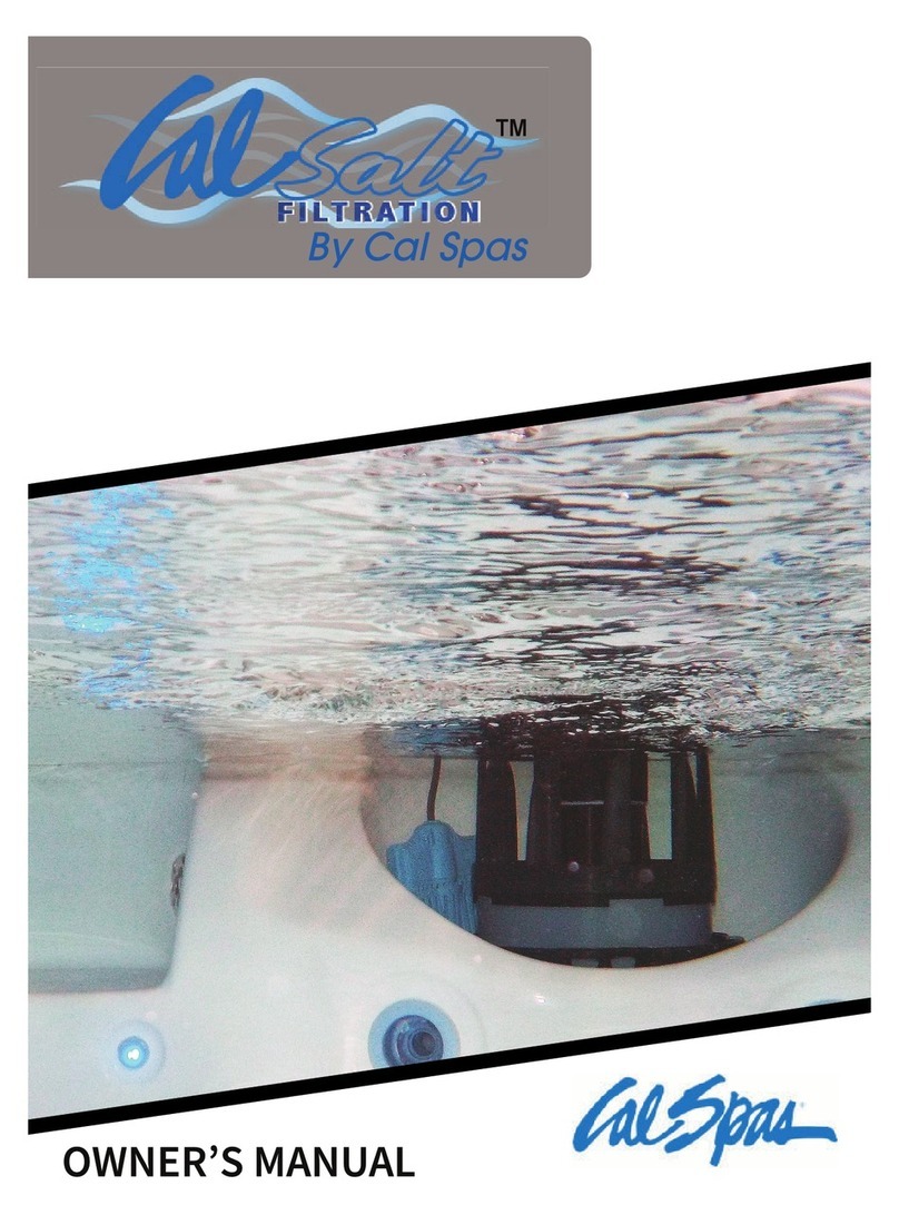 Calspas CalSalt Filtration owner's manual