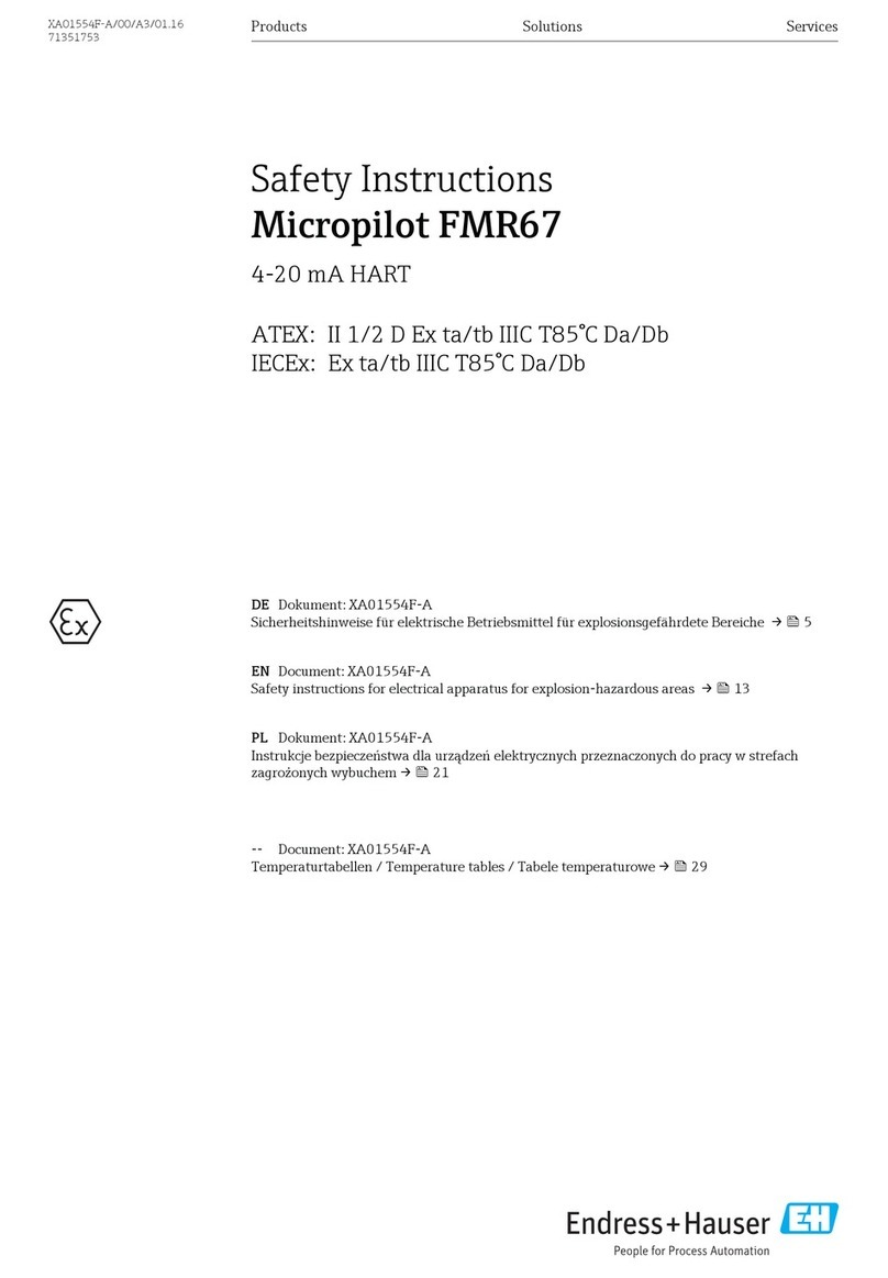 Endress+Hauser Micropilot FMR67 Safety instruction