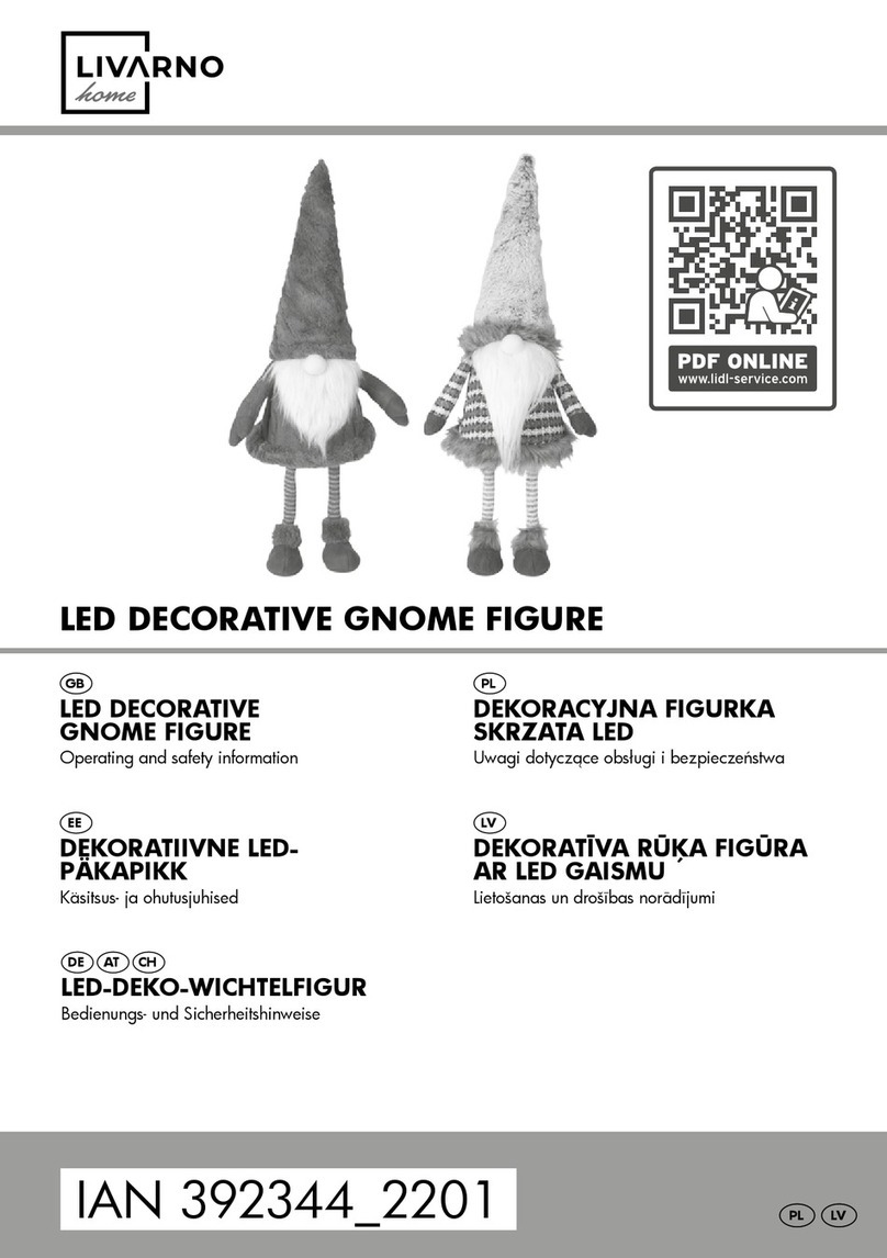 LIVARNO home 1029-RG-S manual