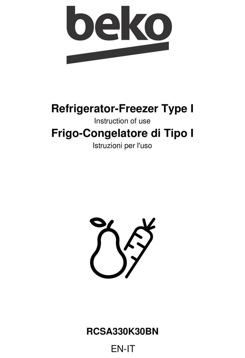 Beko RCSA330K30BN Instructions of use
