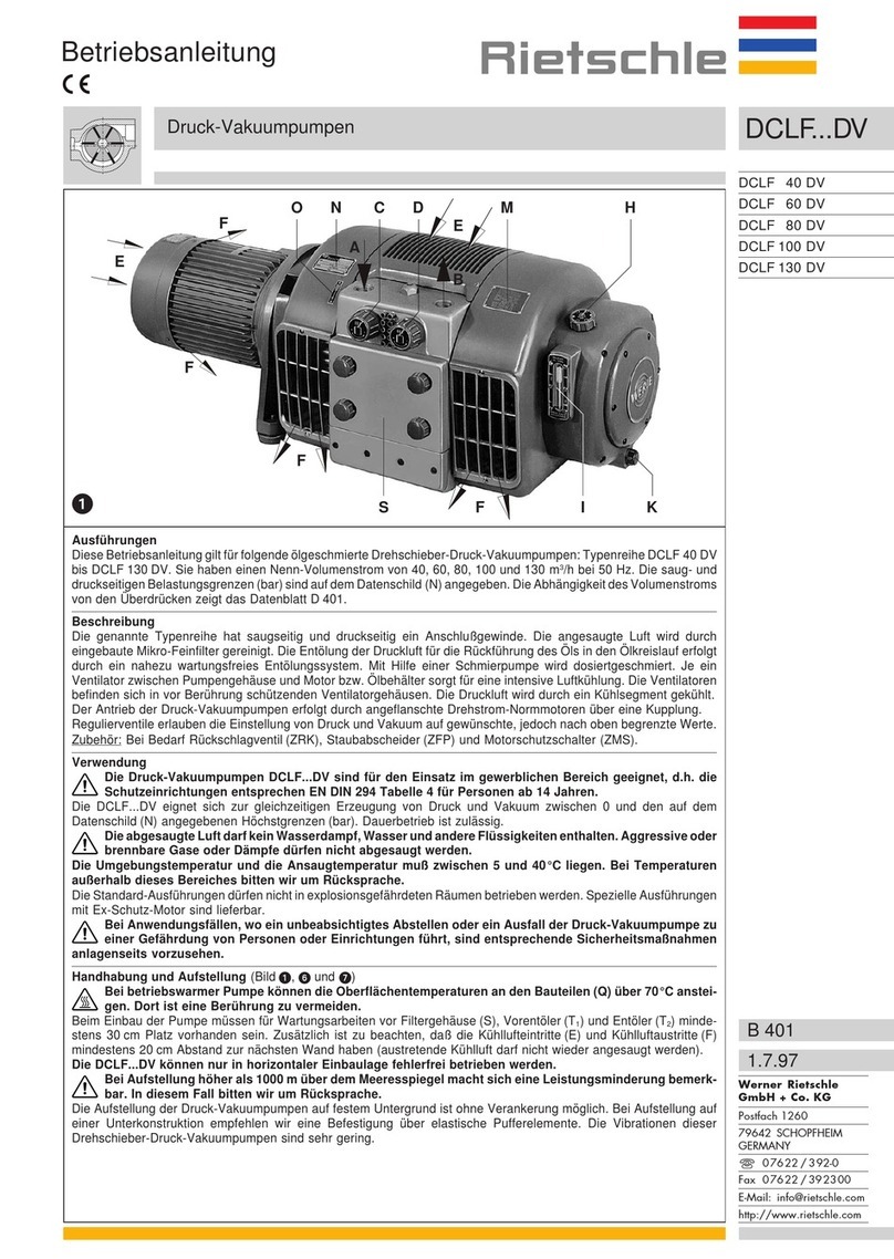 Rietschle DCLF DV Series operating instructions