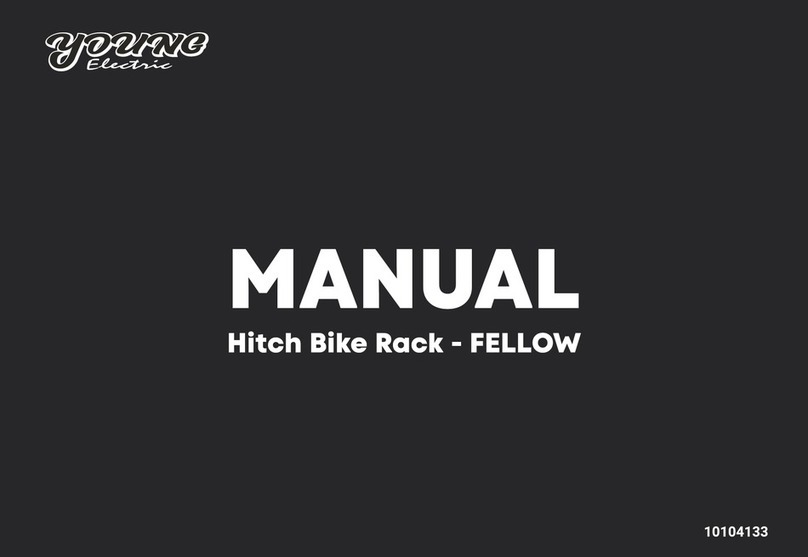 Young Electric Fellow manual
