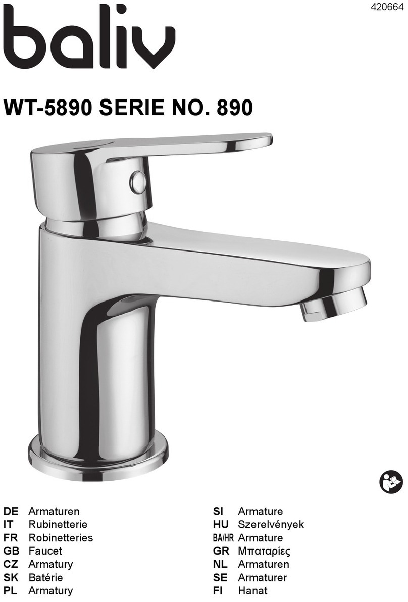 baliv WT-5890 manual