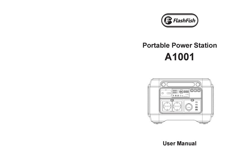 Flashfish A1001 user manual