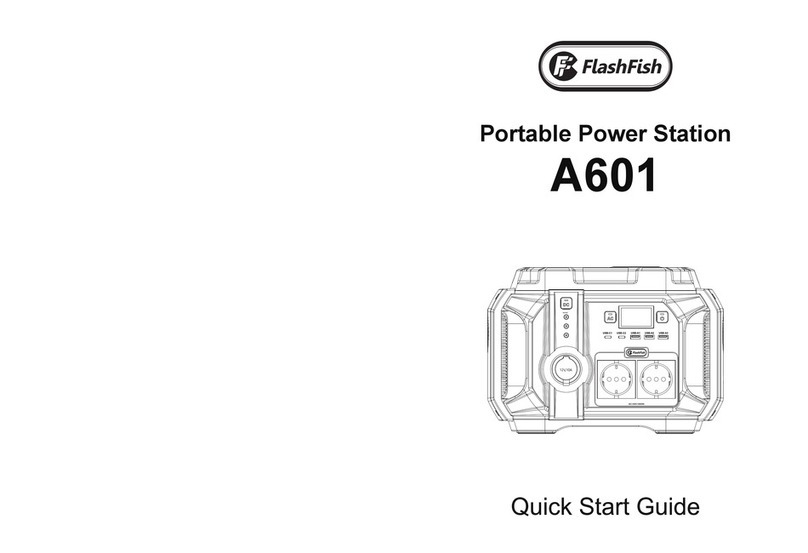Flashfish A601 User manual