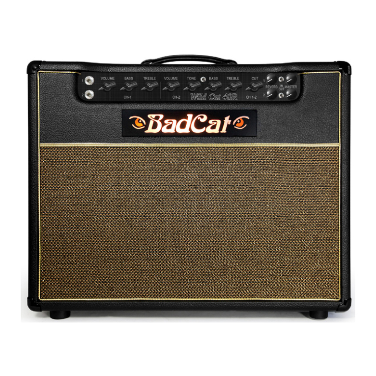 Bad Cat WILD CAT 40R user manual