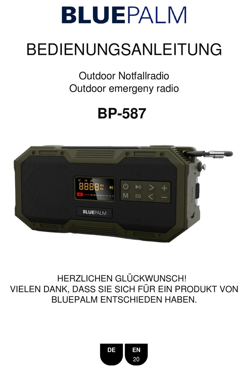 BLUEPALM BP-587 manual
