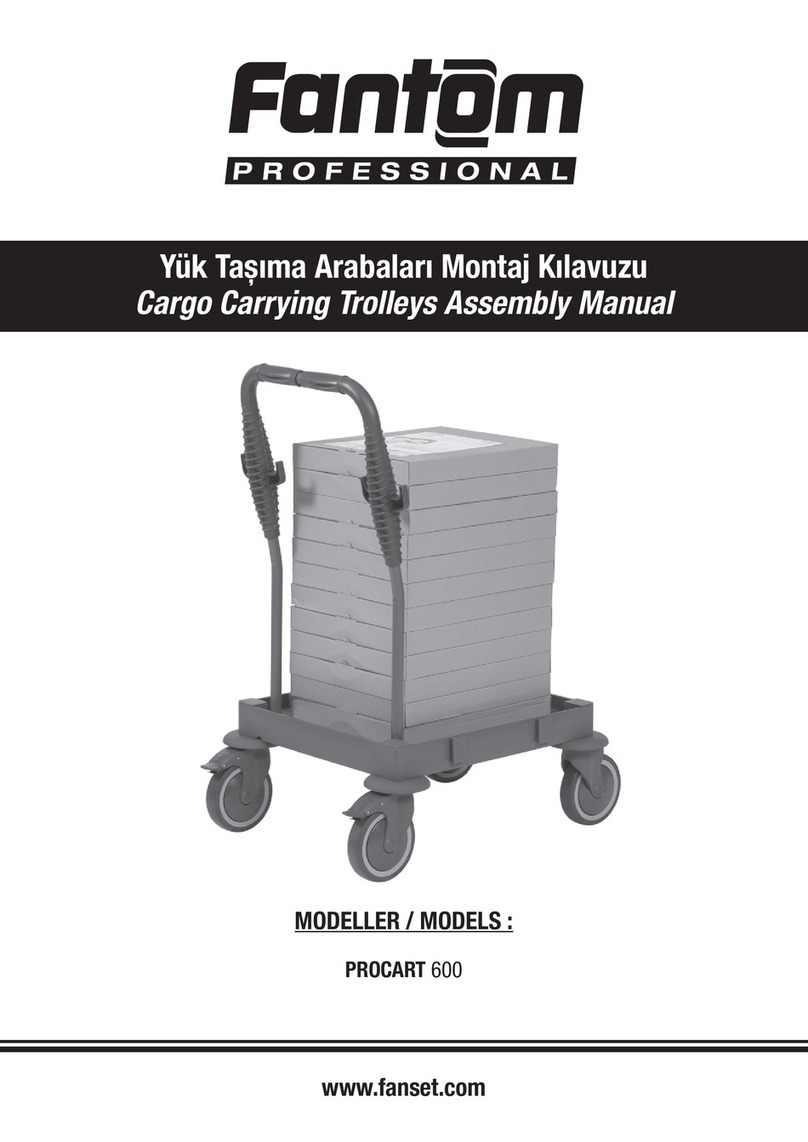Fantom Professional PROCART 600 Assembly manual