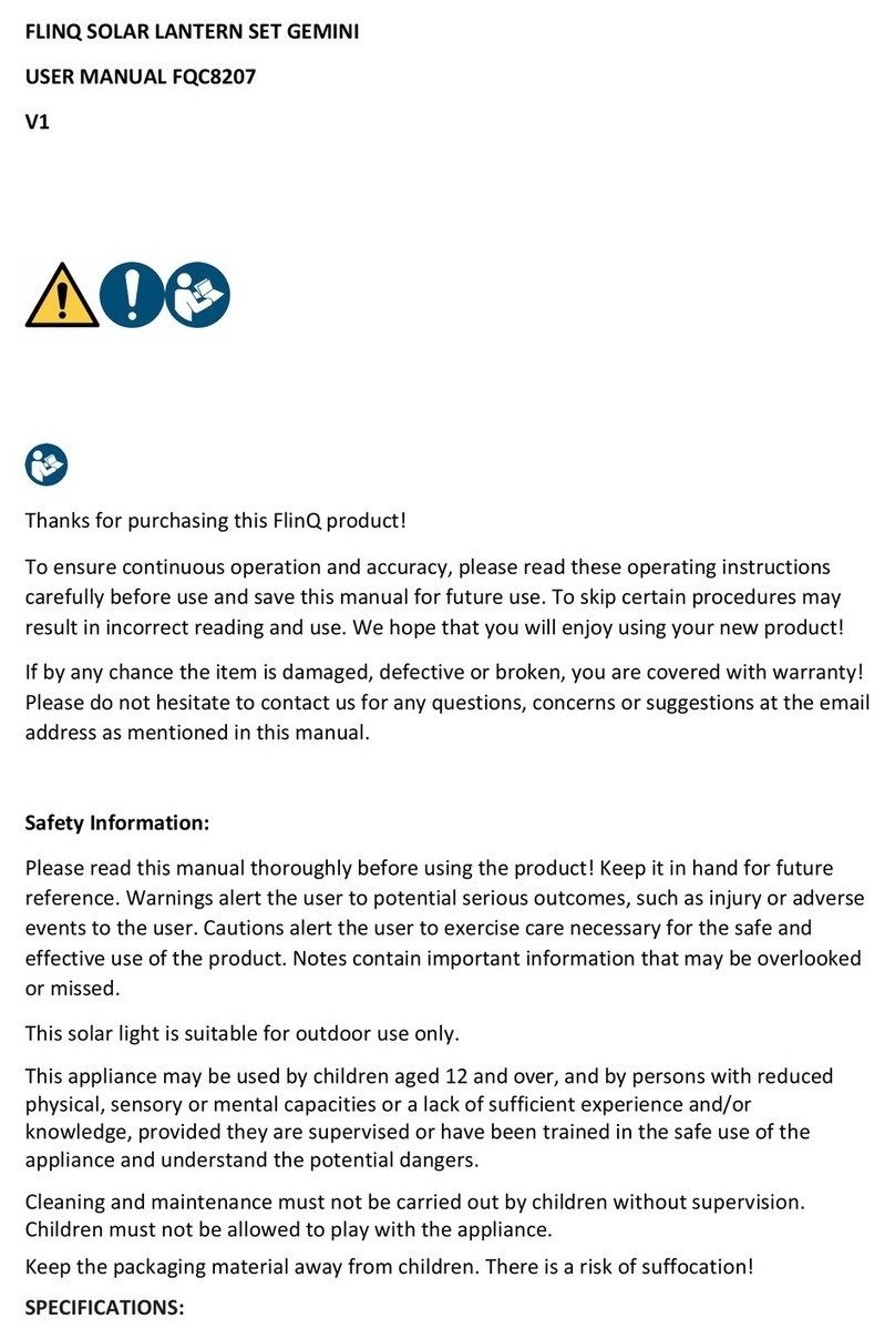 FLINQ GEMINI SET user manual
