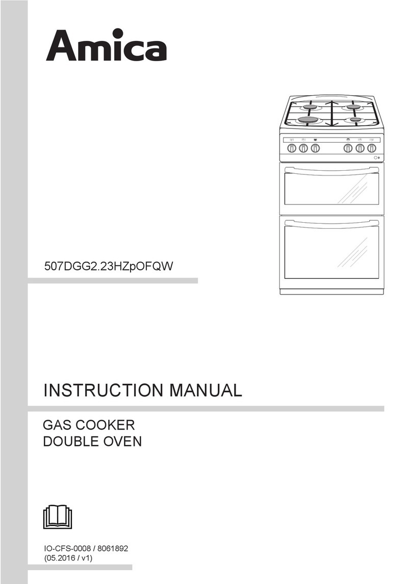 Amica 507DGG2.23HZpOFQW User manual