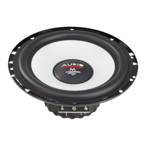 Audiosystem M100 EVO 2 user manual
