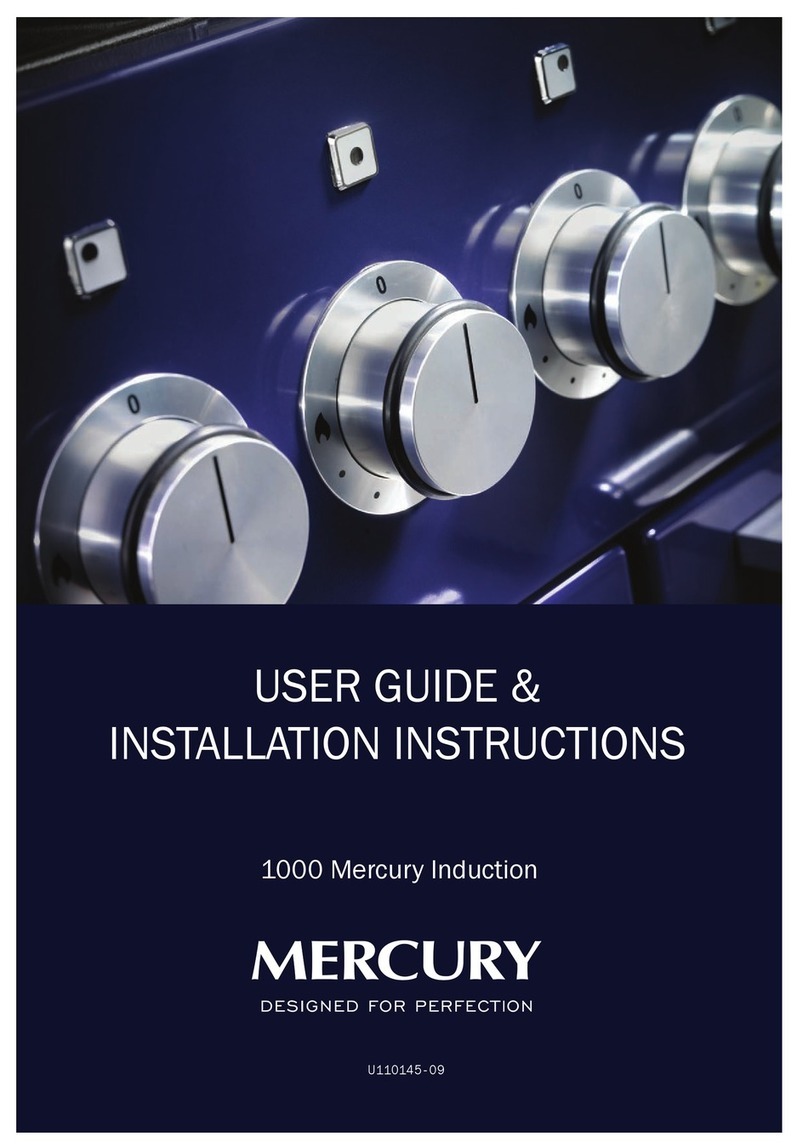 Mercury 1000 Induction Instruction Manual