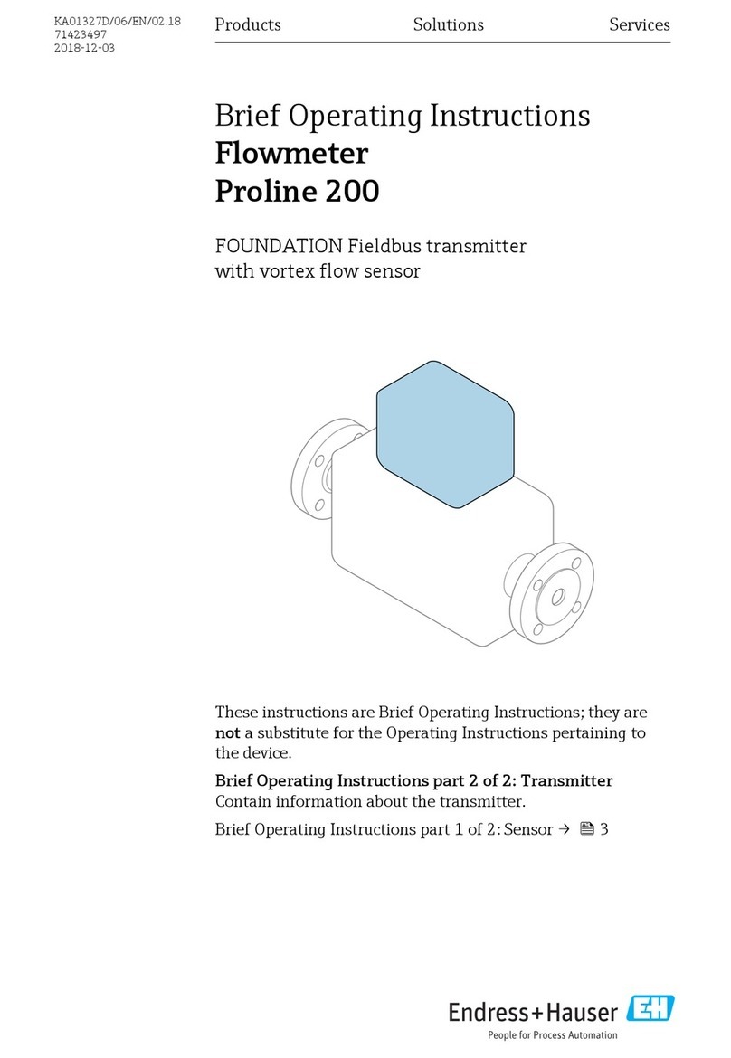 Endress+Hauser Flowmeter Proline 200 Brief operating instructions