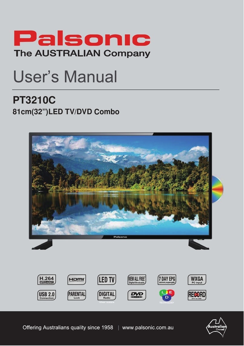 Palsonic PT3210C User manual