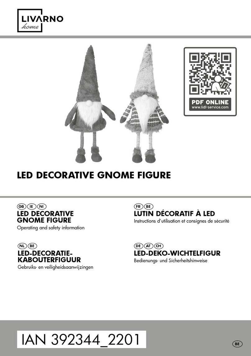 LIVARNO home 1029-RG-S Installation, operating and safety information