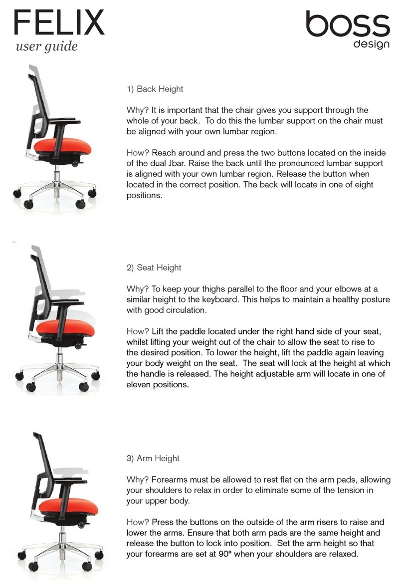 Boss Design FELIX user guide Boss Design FELIX user guide
